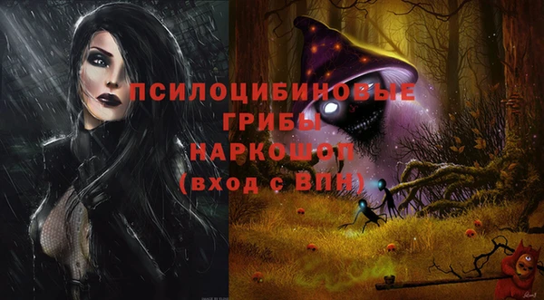 a pvp Горнозаводск