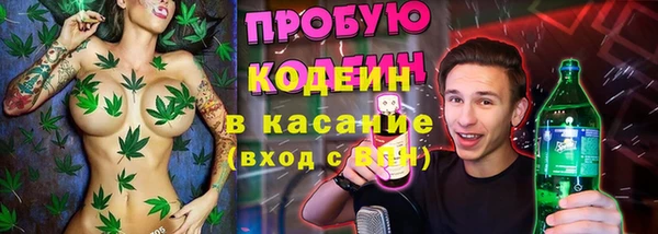 МДПВ Гусев