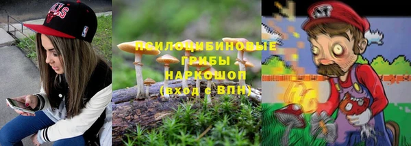 МДПВ Гусев