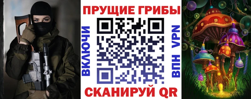 Купить  Королёв  Галлюциногенные грибы Psilocybine cubensis 